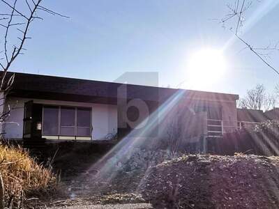 Haus kaufen in 2491 Neufeld (Bild 2)