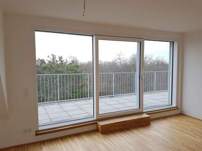 Terrassenwohnung mieten in 1220 Wien (Bild 1)