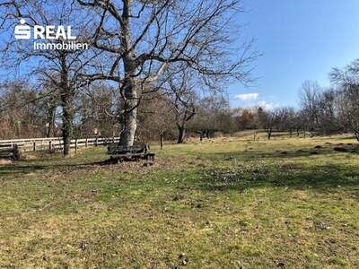 Haus kaufen in 7431 Bad Tatzmannsdorf (Bild 3)