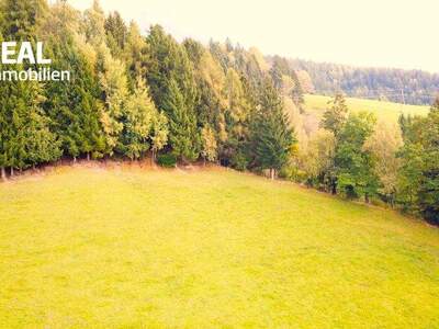 Grundstück kaufen in 8954 St. Martin (Bild 2)