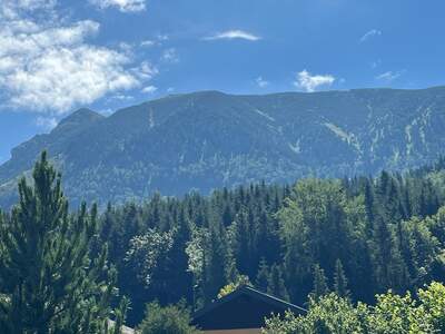 Einfamilienhaus kaufen in 3295 Lackenhof (Bild 4)