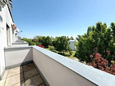 Wohnung kaufen in 1220 Wien (Bild 1)