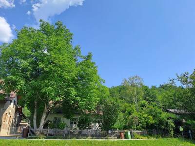 Einfamilienhaus kaufen in 2650 Payerbach (Bild 1)