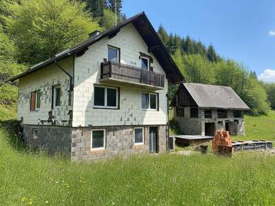 Haus kaufen in 9323 Dürnstein