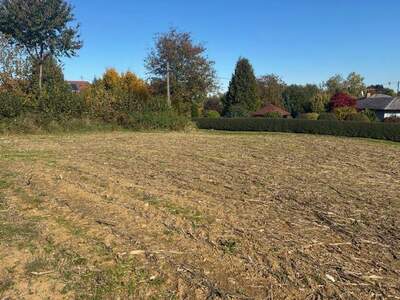 Grundstück kaufen in 4861 Aurach (Bild 1)