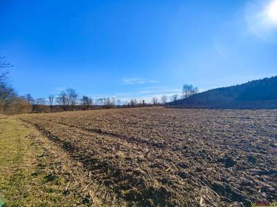 Gewerbeobjekt kaufen in 8561 Söding (Bild 2)