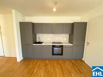 Terrassenwohnung mieten in 1110 Wien (Bild 3)