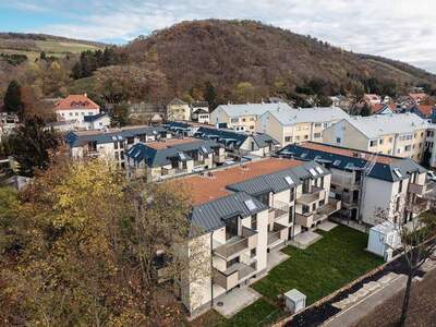 Wohnung kaufen in 2103 Langenzersdorf