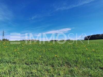 Grundstück kaufen in 5201 Seekirchen (Bild 2)