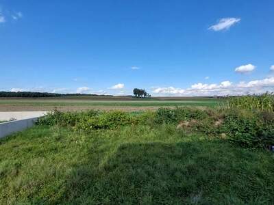 Haus kaufen in 7522 Strem