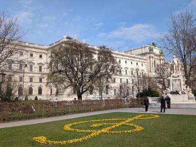 Büro / Praxis mieten in 1010 Wien (Bild 4)