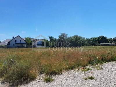 Grundstück kaufen in 2604 Theresienfeld