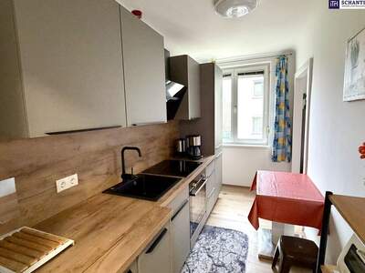 Wohnung mieten in 1130 Wien (Bild 5)