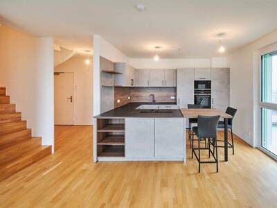 Terrassenwohnung kaufen in 1220 Wien (Bild 4)