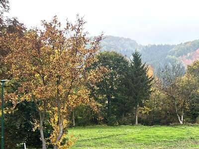 Haus kaufen in 2534 Alland