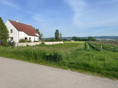 Public Housing provisionsfrei mieten in 7061 Trausdorf