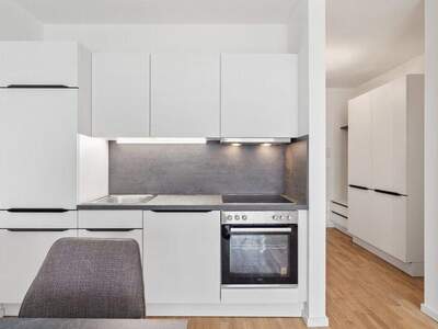 Terrassenwohnung mieten in 2344 Maria Enzersdorf (Bild 3)