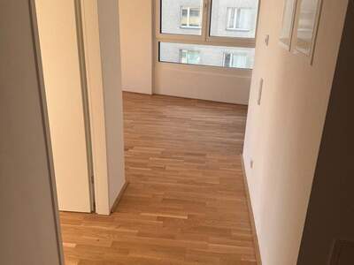 Terrassenwohnung mieten in 1100 Wien (Bild 5)