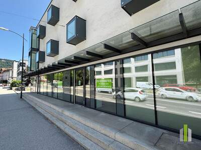 Gewerbeobjekt mieten in 5020 Salzburg (Bild 2)