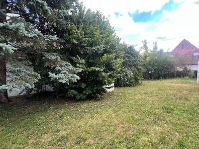 Haus mit Garten kaufen in 7512 Kohfidisch (Bild 3)