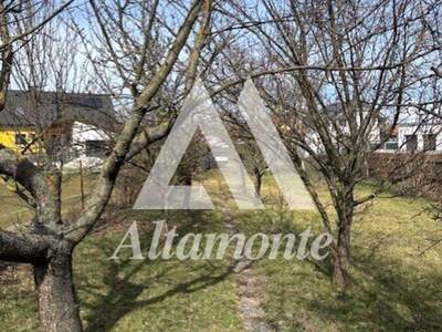 Haus kaufen in 2245 Velm (Bild 5)