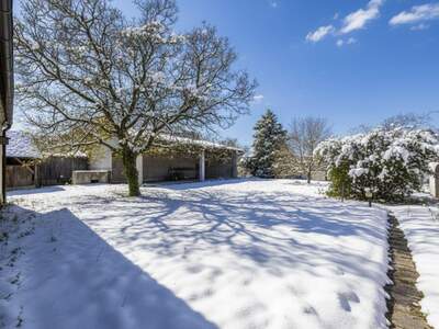 Gewerbeobjekt kaufen in 2431 Enzersdorf (Bild 3)