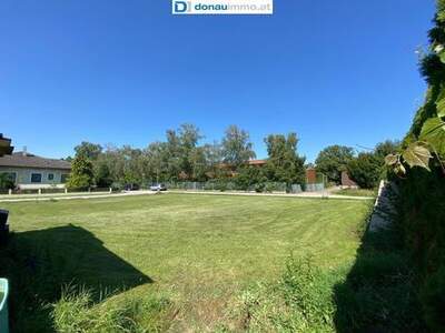 Grundstück kaufen in 3452 Atzenbrugg