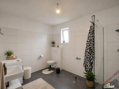 Mehrfamilienhaus kaufen in 3252 Petzenkirchen (Bild 3)