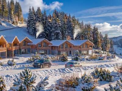 Chalet kaufen in 5505 Mühlbach