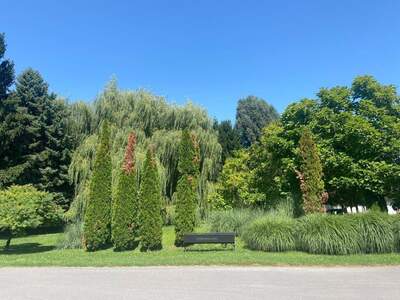 Haus kaufen in 7202 Bad Sauerbrunn