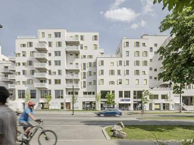 Wohnung provisionsfrei mieten in 1230 Wien