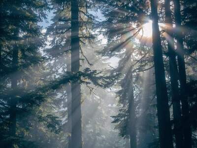 Gewerbeobjekt kaufen in 9931 Außervillgraten