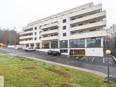 Wohnung mieten in 7400 Oberwart