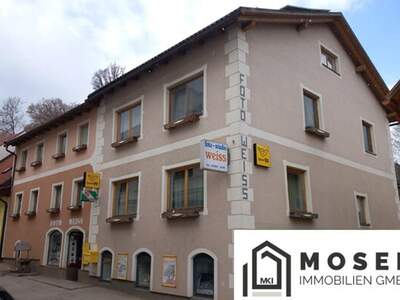 Office / Business kaufen in 8820 Steiermark