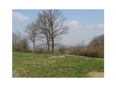 Grundstück provisionsfrei kaufen in 3434 Tulbing