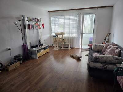 Wohnung provisionsfrei mieten in 6900 Bregenz
