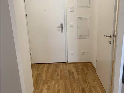 Terrassenwohnung mieten in 1220 Wien (Bild 1)