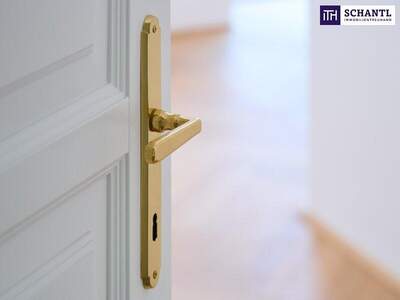 Büro / Praxis kaufen in 1080 Wien (Bild 5)