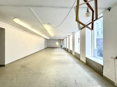 Gewerbeobjekt mieten in 1070 Wien (Bild 5)