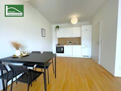 Terrassenwohnung mieten in 8020 Graz (Bild 1)