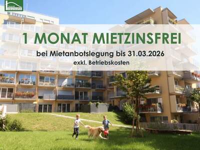 Mietwohnung in 8020 Graz