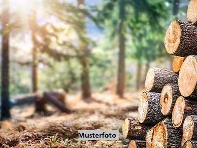 Gewerbeobjekt kaufen in 6361 Kelchsau