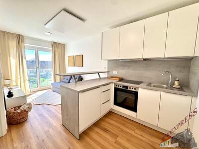 Wohnung mieten in 2401 Fischamend (Bild 1)