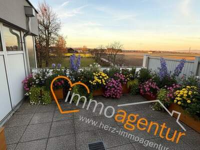 Wohnung kaufen in 4614 Marchtrenk (Bild 4)