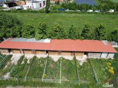 Grundstück kaufen in 2521 Trumau (Bild 4)