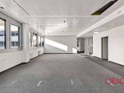 Gewerbeobjekt mieten in 1020 Wien