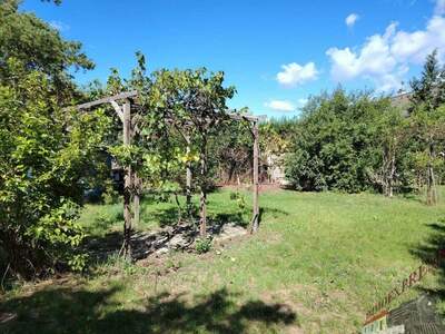 Haus kaufen in 2525 Schönau (Bild 5)