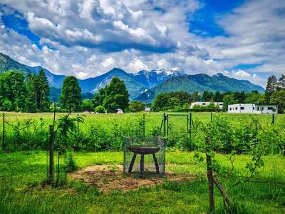 Grundstück kaufen in 9184 St. Jakob (Bild 4)