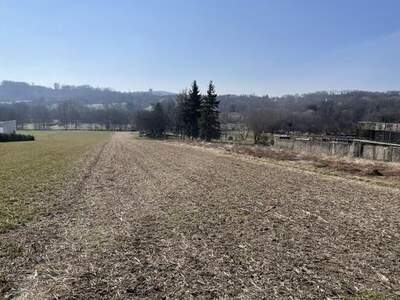 Grundstück kaufen in 7021 Draßburg