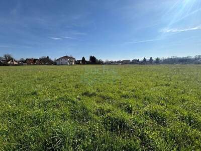 Grundstück kaufen in 8430 Leibnitz